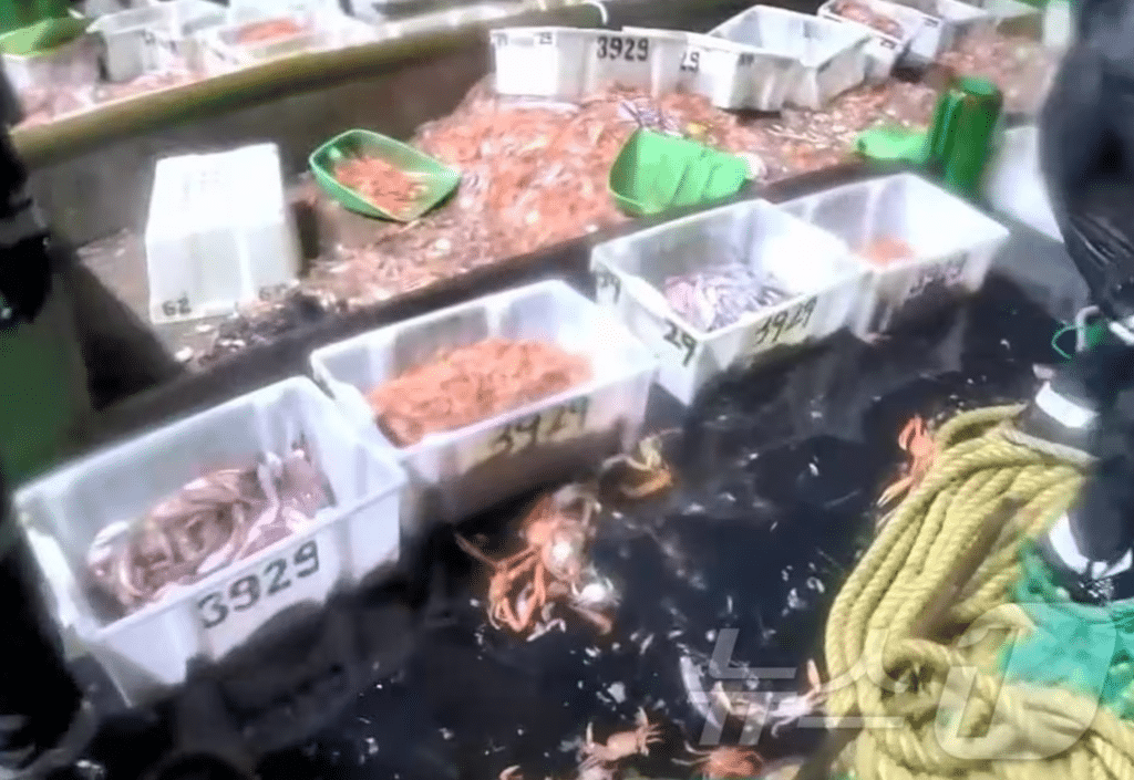 중국 어선 불법 조업 벌금 20배