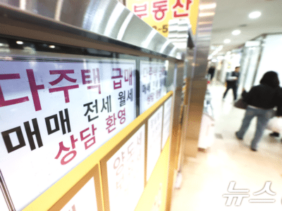 다주택자 부동산 정책 배제