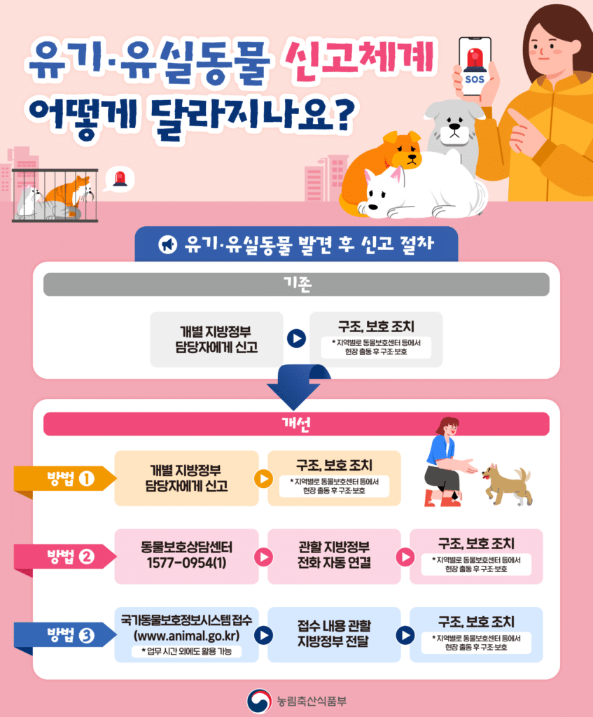 "전국 1500만 반려인 시대"…매년 버려지는 개·고양이 10만 마리 살릴 '골든타임' 창구 2 유기·유실동물 발견 후 신고 절차 개선