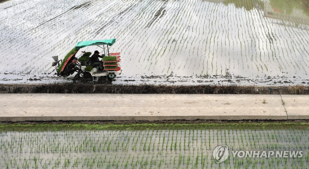 쌀값, 역대 최고치 기록