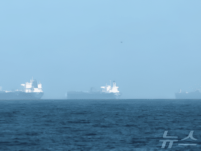 요소 가격 47% 상승