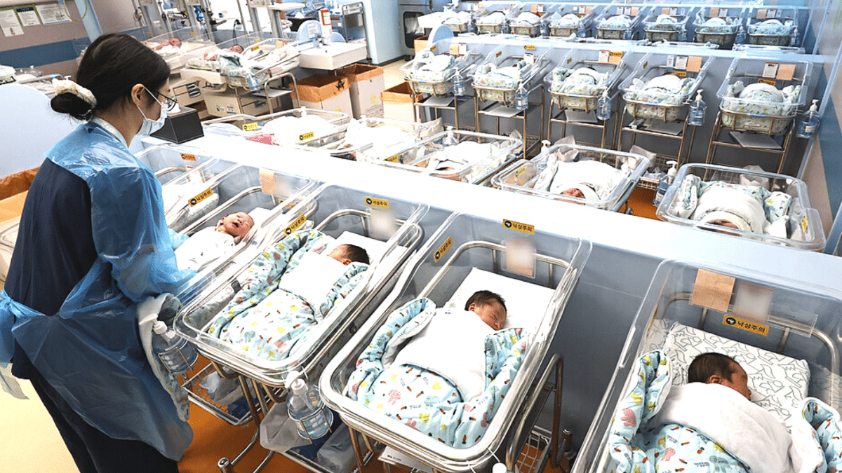 2027년 한국 인구 3622만명