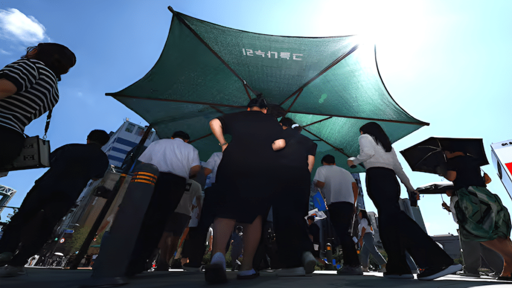 겨울 강수량 감소