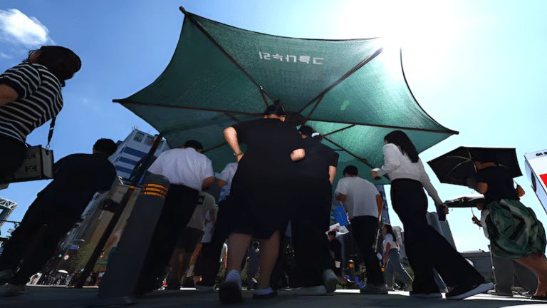 겨울 강수량 감소