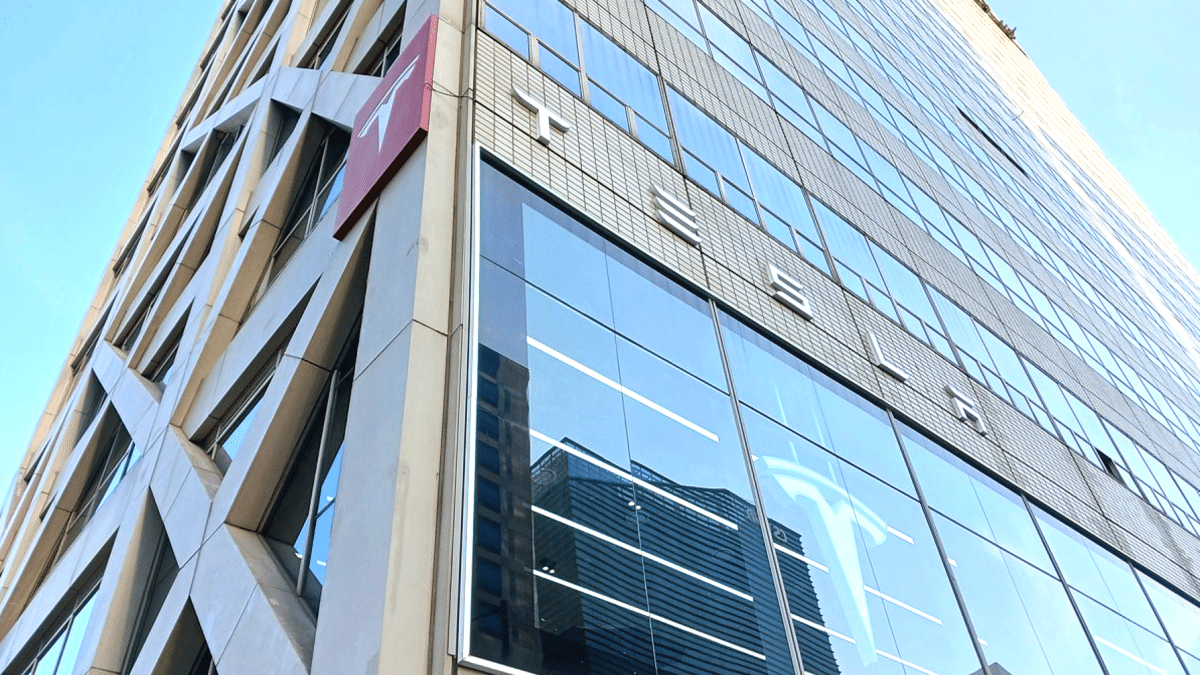 테슬라 2월 판매량