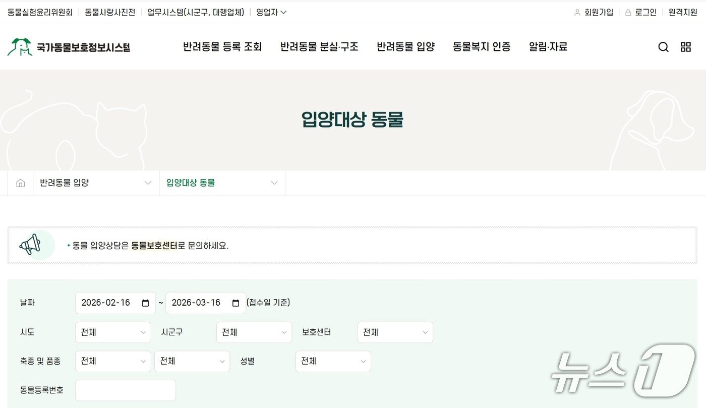 보호소 과밀·안락사 악순환…"민관 협력형 동물복지 모델 필요" - 뉴스1