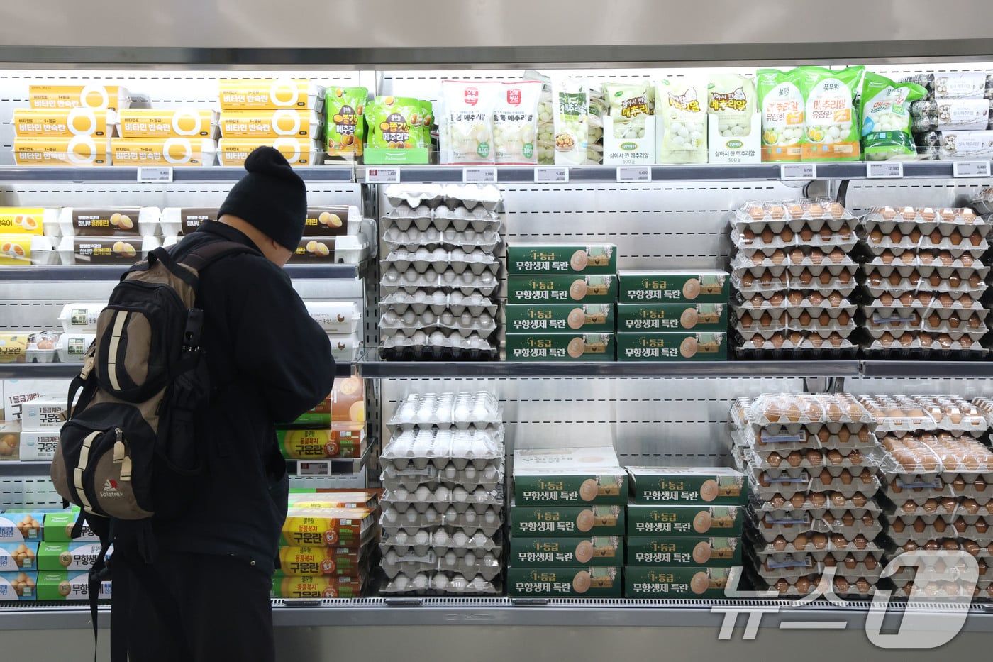 떨어지지 않는 계란값 - 뉴스1