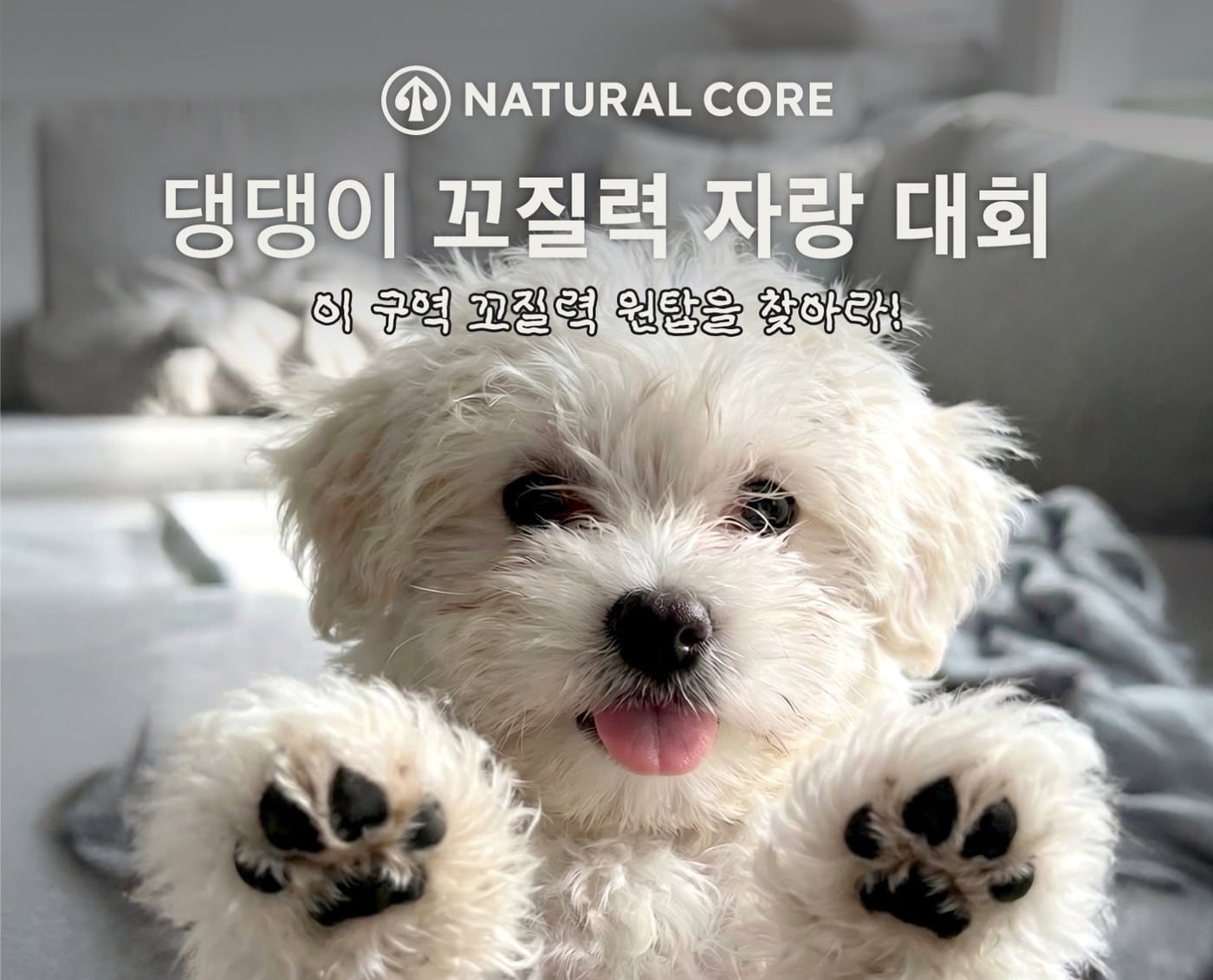 안 씻은 강아지색이 대세? …네츄럴코어, '꼬질력 대회' 연다