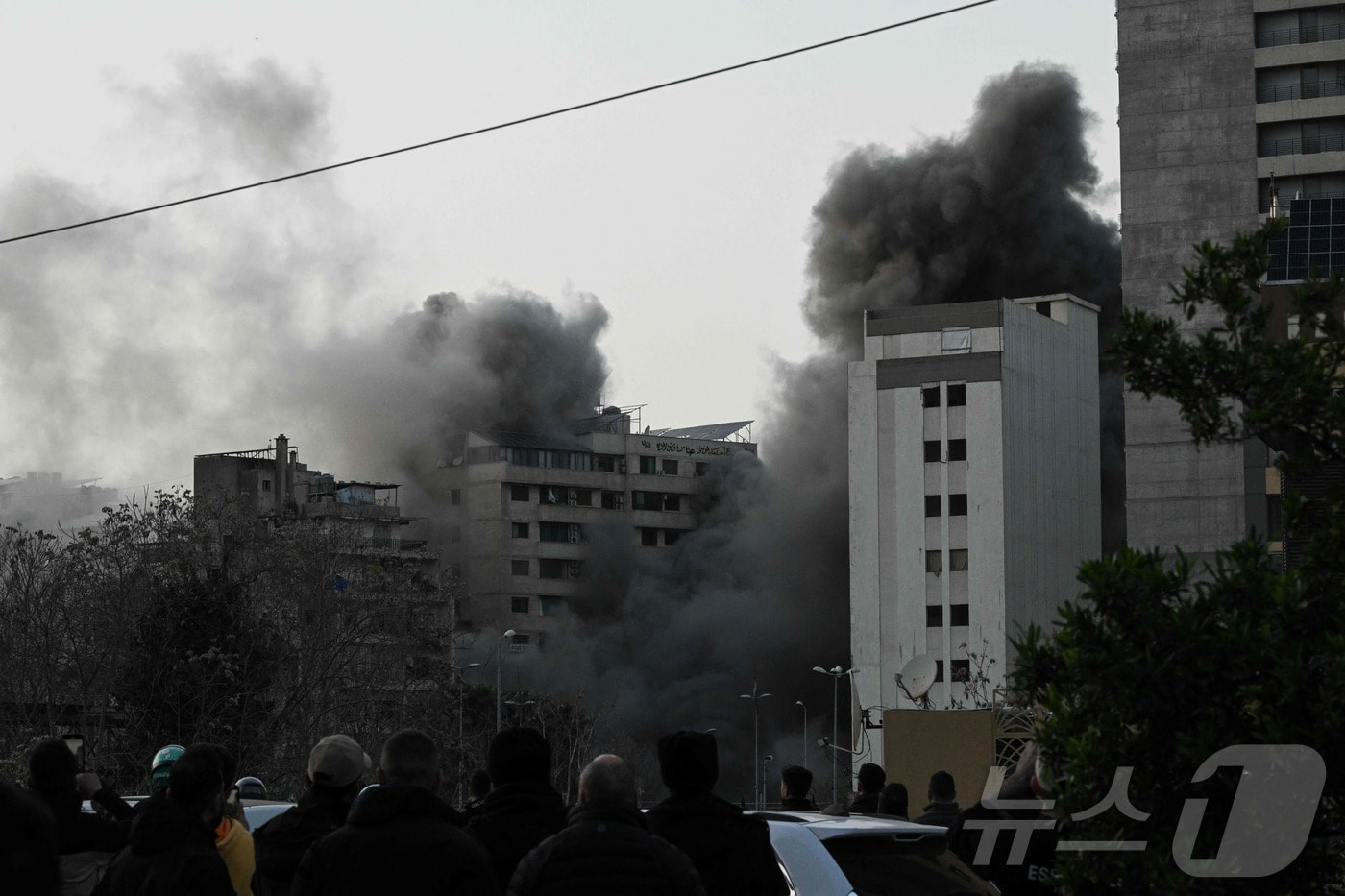 유가 100달러에 달러 11월 이후 최강세…에너지 수입국 통화 약세 - 뉴스1