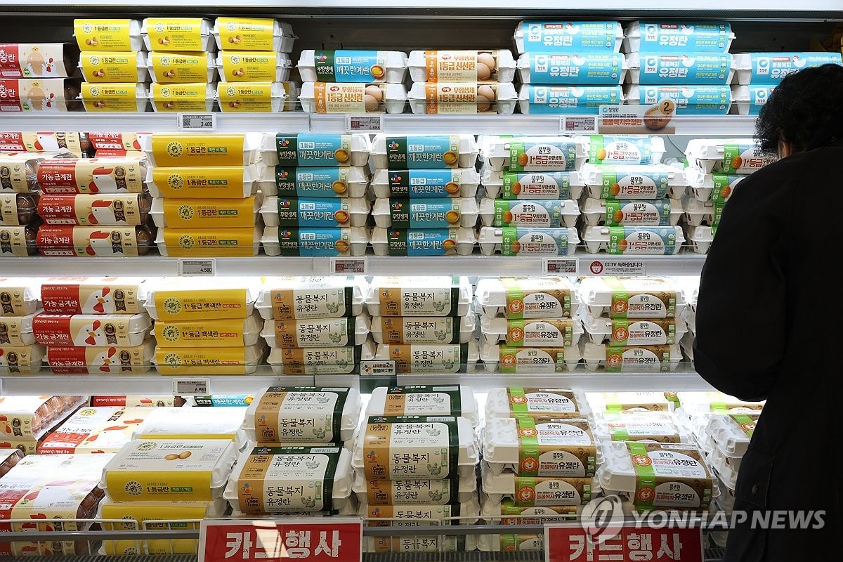 비싸도 '착한 계란'…동물복지란 점유율 4년새 '세 배'로 껑충 | 연합뉴스