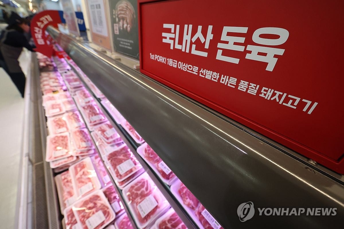 2030년까지 계란 생산량 10% 늘려…계란·돼지고기 담합 땐 철퇴 | 연합뉴스