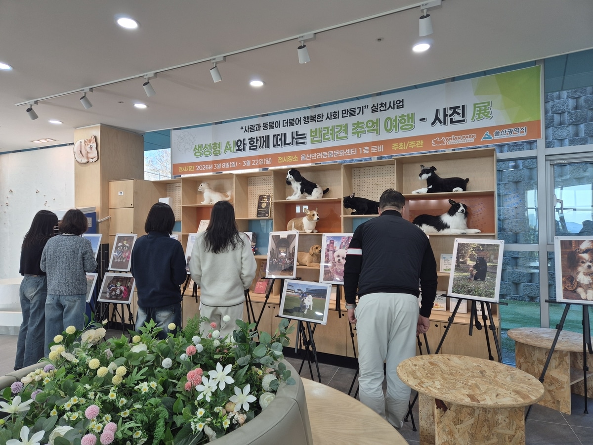 우리 강아지, AI로 견생샷 남겨요"…반려동물 콘텐츠 '열풍' | 연합뉴스