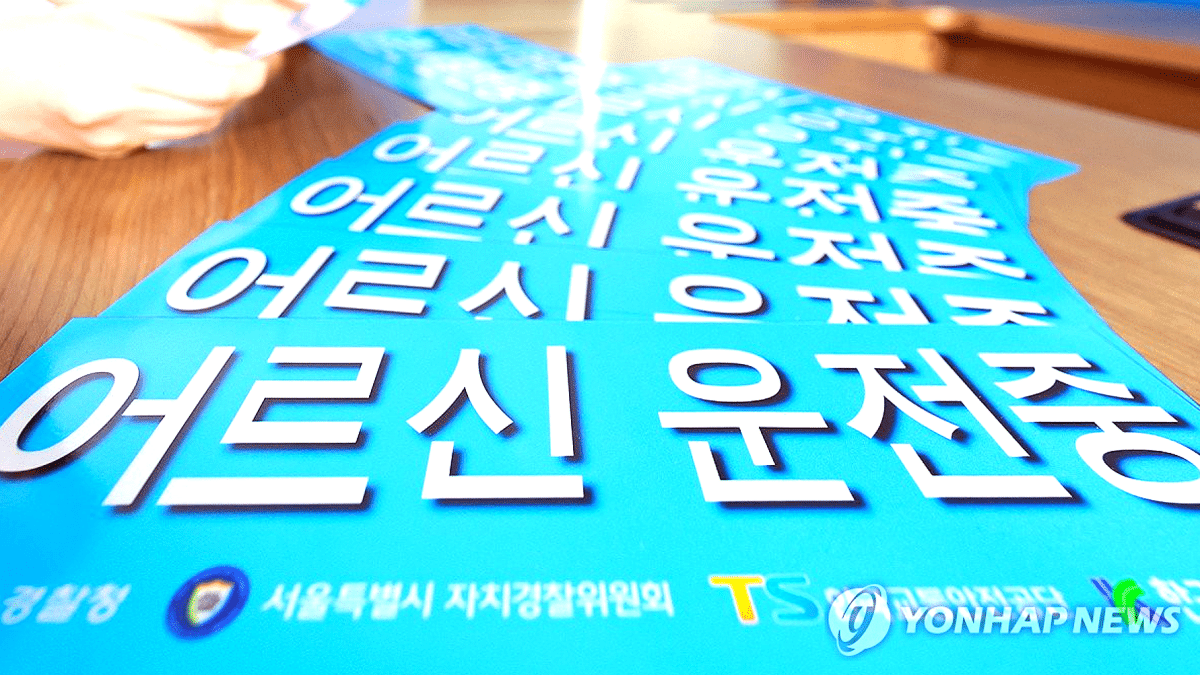 2025년 교통사고 사망자 증가