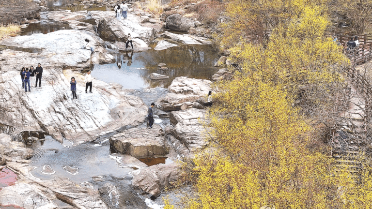 9년 연속 3월 기온 상승