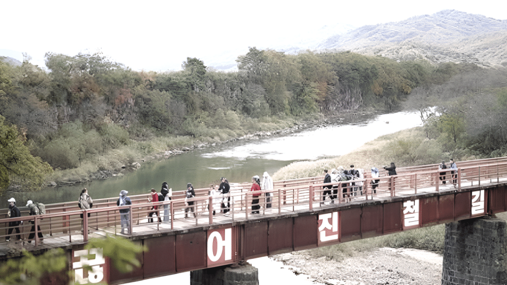 DMZ 평화의 길 테마노선 개방