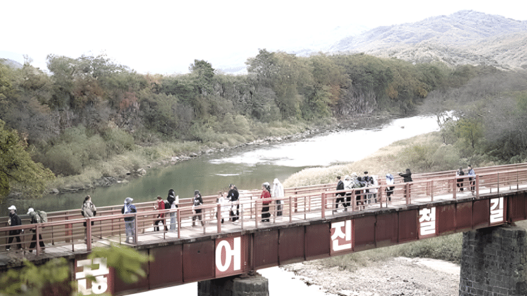 DMZ 평화의 길 테마노선 개방