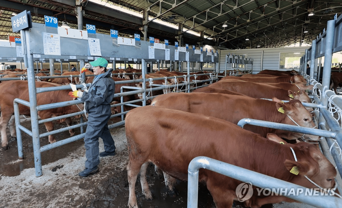 2026년 1분기 가축동향조사