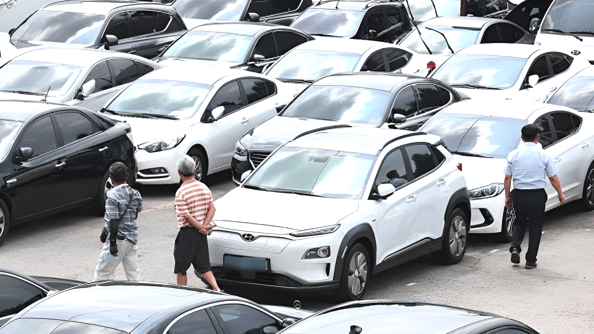 2026년 1분기 중고차 판매량