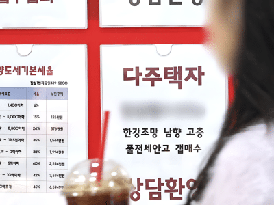 정부 다주택자 양도세 중과 유예