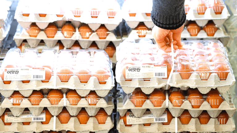 태국산 신선란 수입