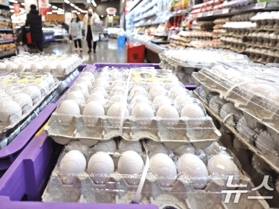 벌크 소비자 증가