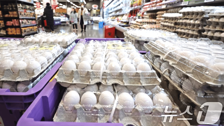 벌크 소비자 증가