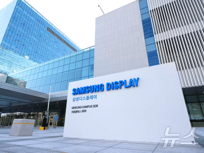 삼성디스플레이 퀀텀뷰 검증 통과