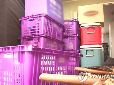 소규모 이사 피해 급증