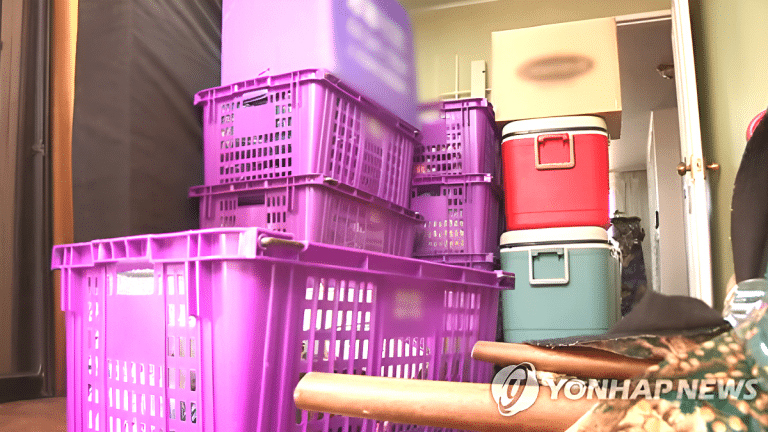 소규모 이사 피해 급증