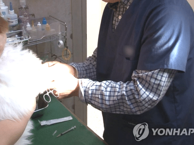 동물병원 주사기 부족
