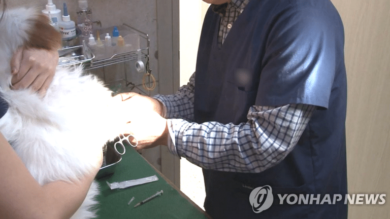 동물병원 주사기 부족