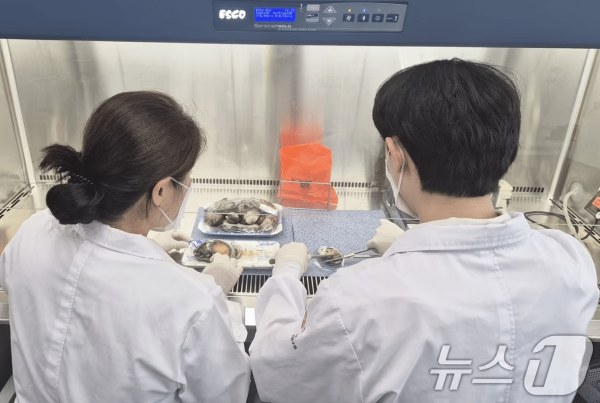 올해 첫 비브리오패혈증 사망자 발생