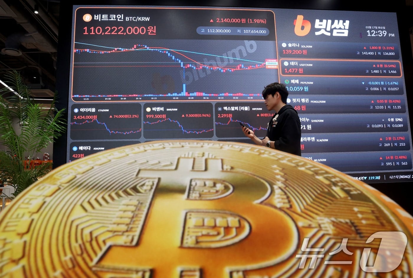 지난해 국내 코인 시총 100조 붕괴…트럼프發 리스크에 '롤러코스터' - 뉴스1