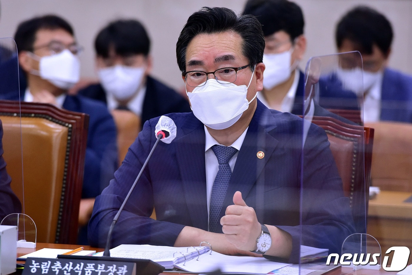 추석 앞둔 '돼지열병' 악재…삼겹살 '金겹살' 될까 물가 자극 우려 - 뉴스1