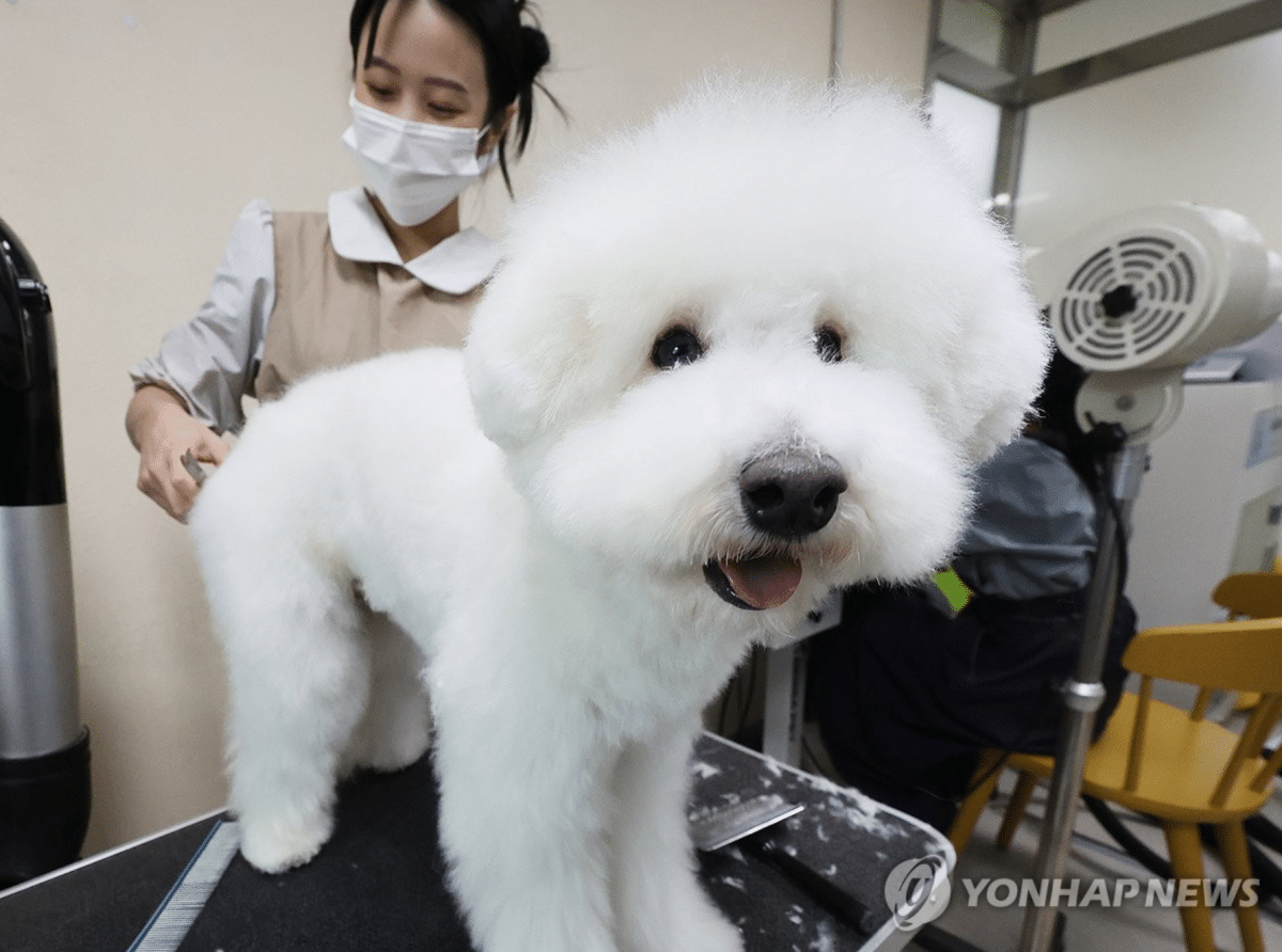펫 휴머니제이션 문화 확산