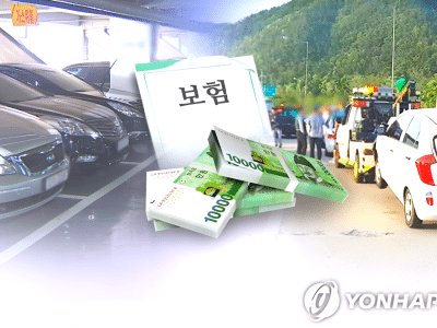 자동차보험 8주룰