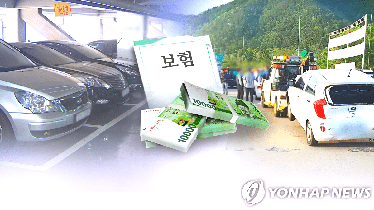 자동차보험 8주룰