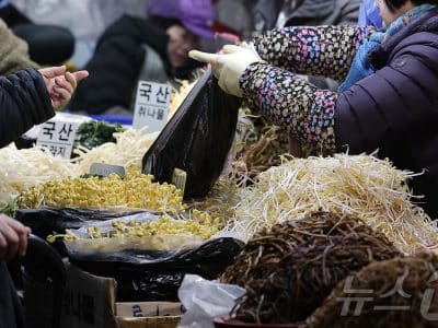 세관 감독관과 통관 화물로 할당관세 단속 분위기를 보여주는 뉴스1 기사 이미지