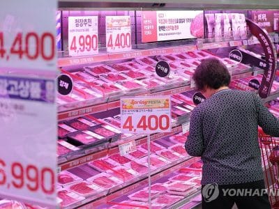 한우 비육우 경매 장면과 농가 수익성 지표 그래프