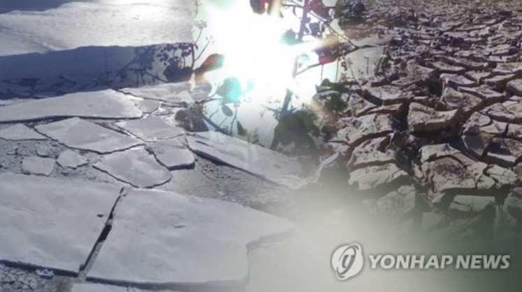 2026년 엘니뇨 발생 확률 80%