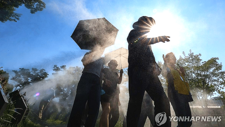 2026년 엘니뇨 발생 확률 80%