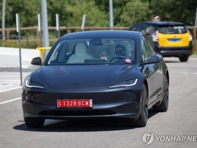 테슬라 모델Y와 유사 차량이 전시된 수입차 현장 사진